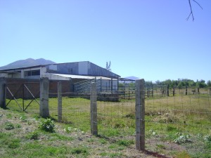 Se&ntilde;or Valdez Avisos dse propiedades en Mexico en Acatl&aacute;n de Ju&aacute;rez |  SE VENDE RANCHO AGRICOLA EN ACATLAN DE JUAREZ, ESTA FINCADO