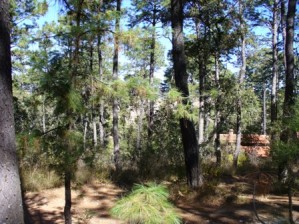 Karem Torres Avisos dse propiedades en Mexico en Tapalpa |  Agradable terreno en tapalpa dentro de fraccionamiento, 