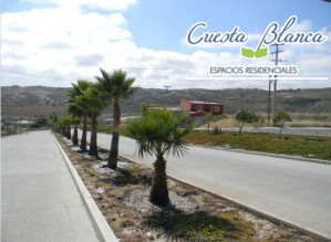 Nancy Garc&iacute;a Avisos dse propiedades en Mexico en Tijuana |  El mejor fraccionamiento para vivir en tijuana, lotes en pagos, Con todos los servicios, al mejor precio, lo que estaba buscando!!