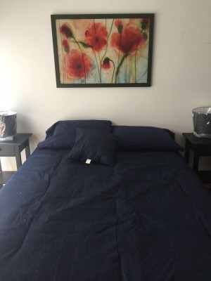 Carolan Casas Avisos dse propiedades en Mexico en Miguel Hidalgo |  Departamento en renta en nueva anzurez, amueblado, Mantenimiento y servicios incluidos, muy centrico